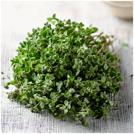 Origan Natural Organic flavour oilsoluble